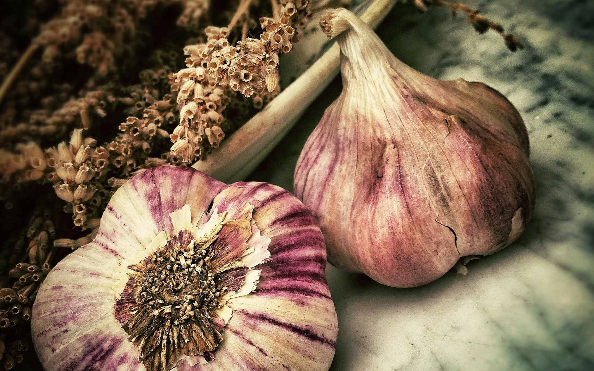 Foto von zwei Knoblauchknollen.